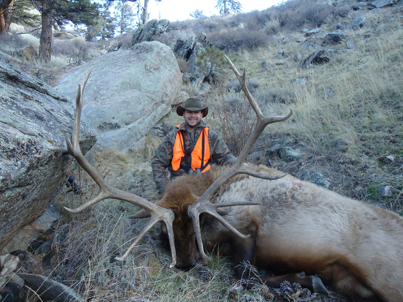 Wyoming rifle elk hunts