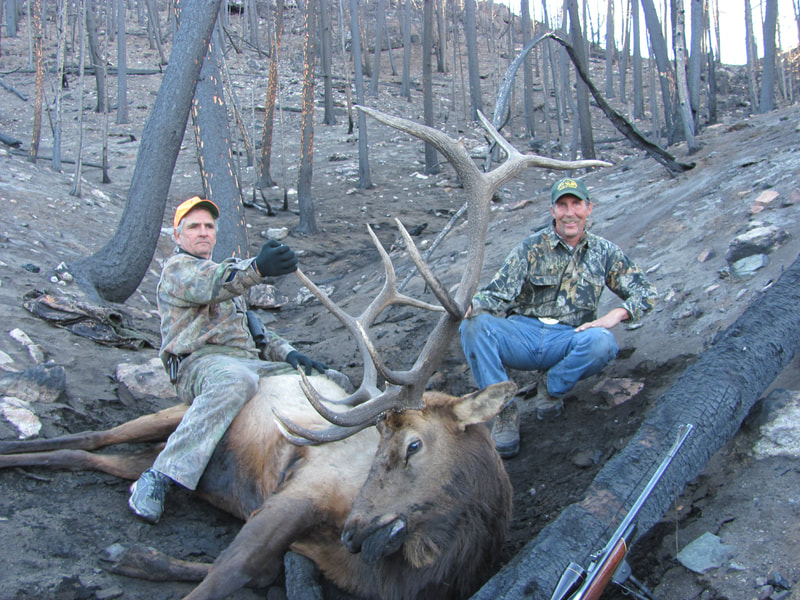elk outfitters wyoming