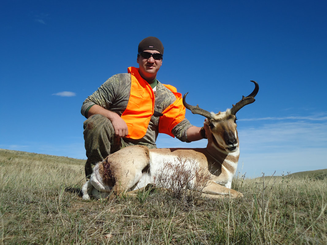 Wyoming Trophy Pronghorn Antelope Photos - TIMBERLINE - WYOMING BIG ...