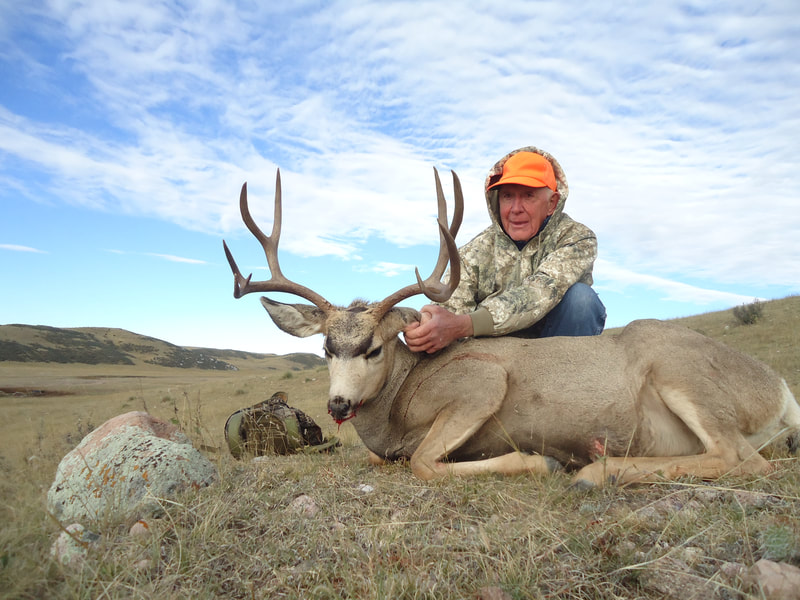 Wyoming Mule Deer Photos - TIMBERLINE - WYOMING BIG GAME HUNTING